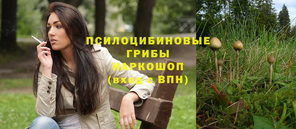 скорость Богородск
