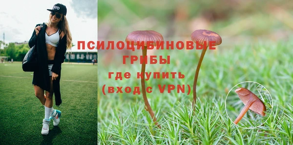 скорость Богданович