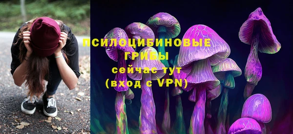 амфетамин Богородицк
