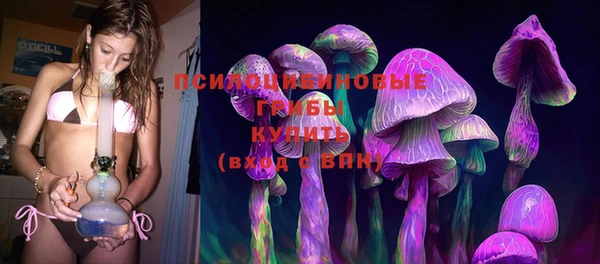 скорость Богородск