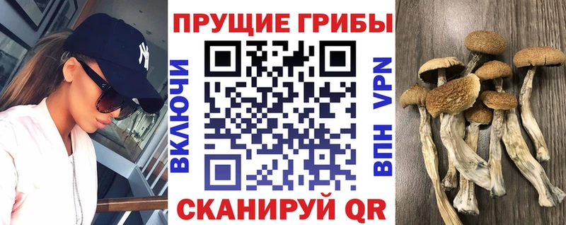 даркнет какой сайт  закладки  Красный Кут  Псилоцибиновые грибы мицелий 